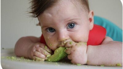 baby led weaning una interesante tecnica para alimentar a tu bebe
