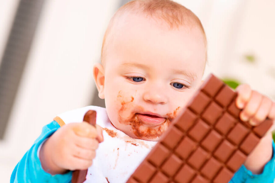 los bebes pueden comer chocolate